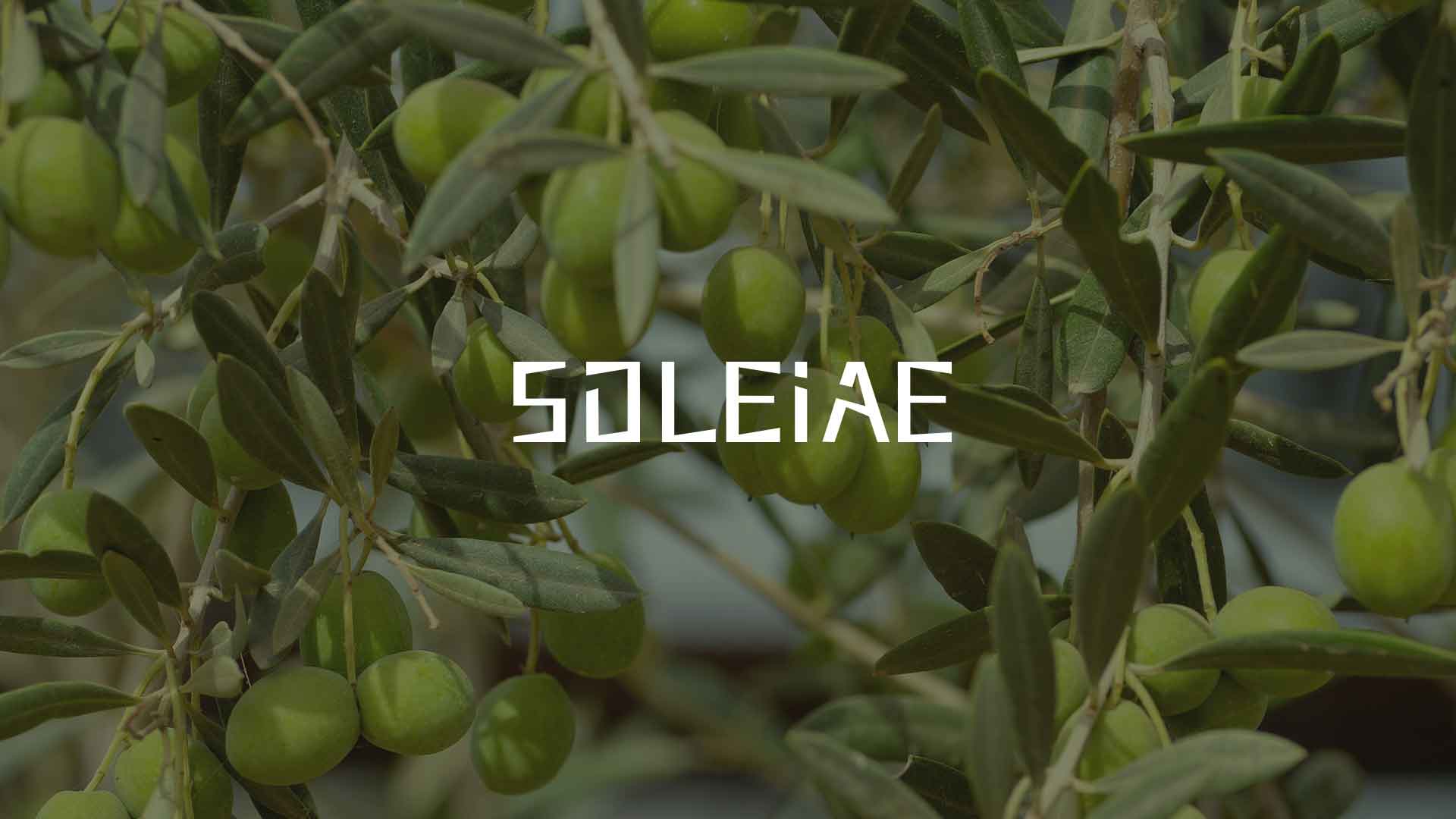 Soleiae épicerie fine une identité visuelle entre terroir et modernité