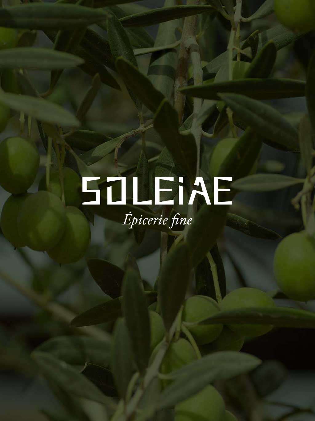 Identité visuelle Soleiae